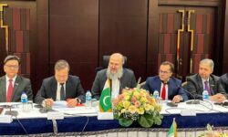 آمادگی اسلام‌آباد برای گسترش همکاری‌های اقتصادی، فنی و منطقه‌ای با تهران