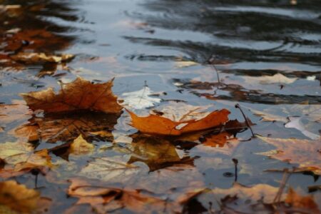 کاهش بیش از ۹۰ میلی‌متری بارش در کشور