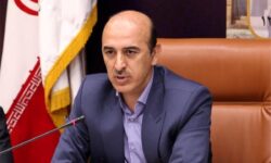 افزایش میانگین پیشرفت طرح‌های مسکن در شهر‌های جدید به ۳۳ درصد