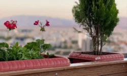 روف گاردن جذاب بدون هزینه‌های نگهداری بالا ممکن است؟