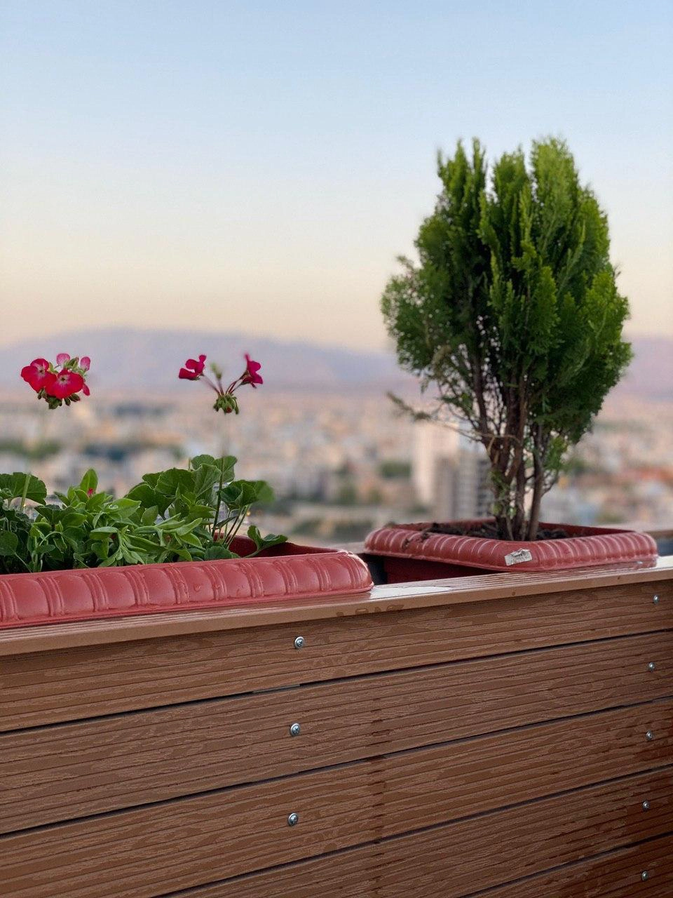 فلاورباکس چوب پلاست در روف گاردن