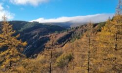 آسمان صاف تا ۵ روز آینده در بسیاری از مناطق کشور