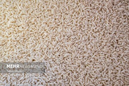 نرخ جدید انواع برنج در میادین میوه و تره‌بار تهران اعلام شد