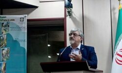 مدیریت امروز شهرها بدون آموزش، پاسخگوی پیچیدگی سکونتگاه‌های شهر نیست