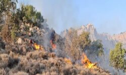 پیشروی اطفای حریق در جنگل الیت مازندران؛ ایجاد معبر ضدآتش از شب گذشته