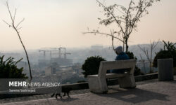 تهران در چنگال آلودگی؛چرا برخی ادارات مصوبات اضطرار را نادیده می‌گیرند