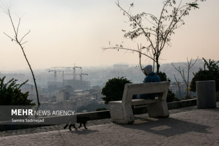تهران در چنگال آلودگی؛چرا برخی ادارات مصوبات اضطرار را نادیده می‌گیرند