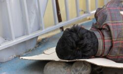 کارتن‌خوابی و راهکارهای پایدار مقابله با آن در تهران