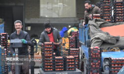 کنترل قیمت و کیفیت اقلام یلدایی در میادین میوه و تره‌بار