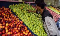 آغاز جانمایی و توسعه میادین میوه‌ و تره‌بار تهران