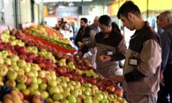 ۵ بازار جدید میوه و تره بار در تهران افتتاح شد