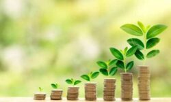 افزایش ۶۱ درصدی درآمدهای پایدار شهرداری تهران در سال جاری