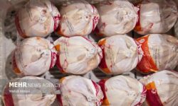 قیمت مرغ تازه و منجمد اعلام شد