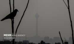 وضعیت هوای تهران در حال حاضر چگونه است؟