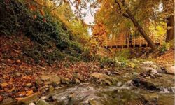 از چشمه‌های طبیعی تا برج پرندگان؛ جزئیات فاز دوم روددره فرحزاد