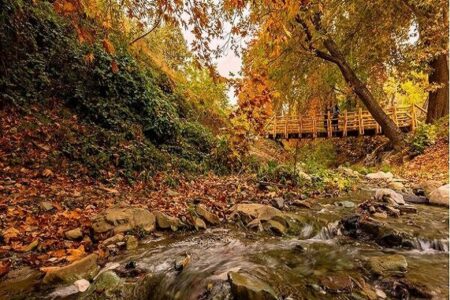 از چشمه‌های طبیعی تا برج پرندگان؛ جزئیات فاز دوم روددره فرحزاد