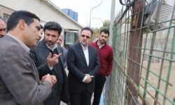 بازدید معاون شهرسازی و معماری شهرداری تهران از پروژه «پارکینگ فرهنگ»