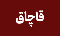 کشف یک هزار و ۳۲۴ تن فرآورده‌های جنگلی قاچاق