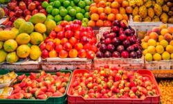 سازمان مدیریت میادین میوه و تره‌بار به عرصه تجارت خارجی ورود می‌یابد؟