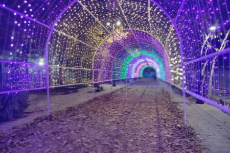 نورپردازی پهنه رودکی با رویکرد ارتقای نشاط شهری