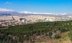 کاشت بیش از ۳۳ هزار نهال به نام امام علی(ع) در بوستان سرخه‌حصار