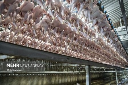 قیمت مرغ تازه در تهران اعلام شد