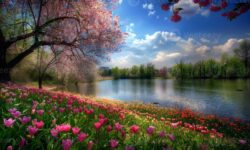 آموزش کار با Primavera در زمانبندی پروژهها