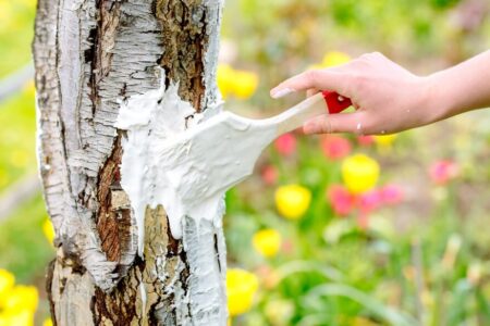 نحوه اجرای سفیدکاری در ساختمان